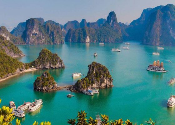 1554706517 Tour Ha Long 3