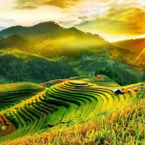 Mu Cang Chai